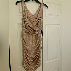 Women’s Express Dress